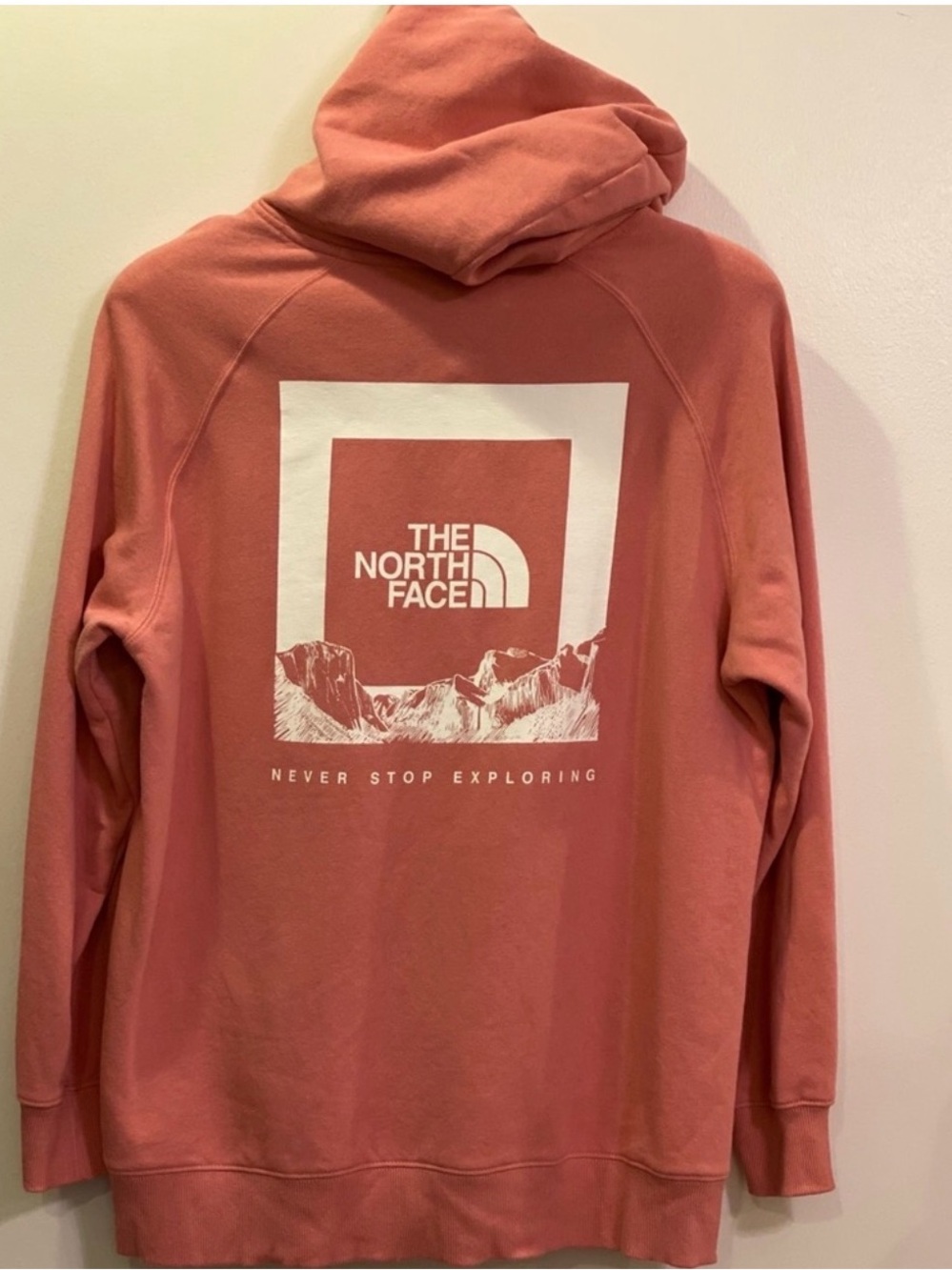The North Face Coral Pink Logo Hoodie